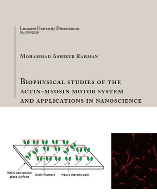 Front cover of M.A. Rahman's doctoral thesis titled Biophysical studies of the Actin-Myosin Motor System and Applications in Nanoscience