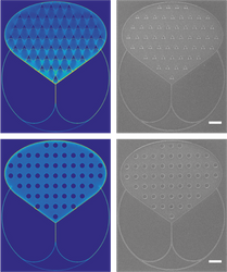 Nanoimprint lithography patterns for biocomputation devices